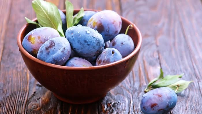  when to pick plums