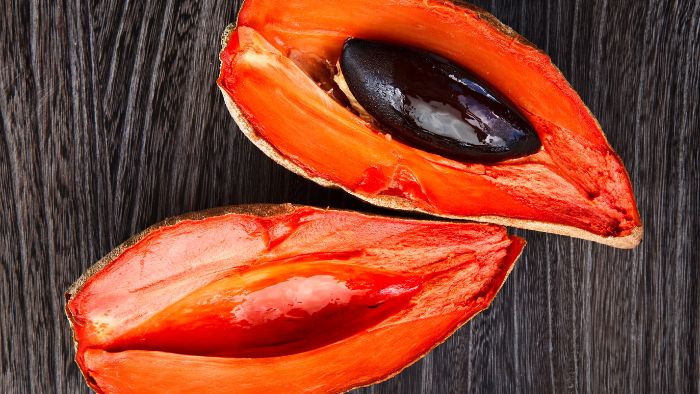  Does mamey grow true to seed?